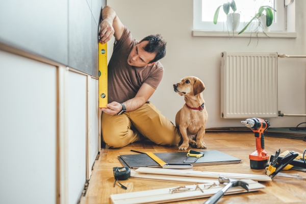男人在家里做装修工作，小黄狗在旁边看着。